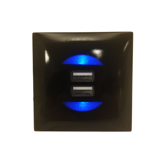 Clockwork Components Twin USB Charging (code: EM-USB03)