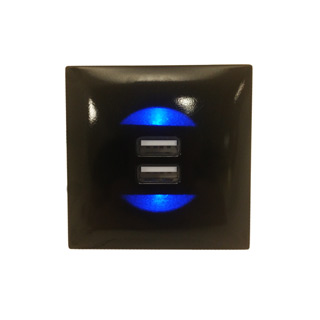 Clockwork Components Dual USB Charging Socket - Blue Back Light (code: EM-USB03)