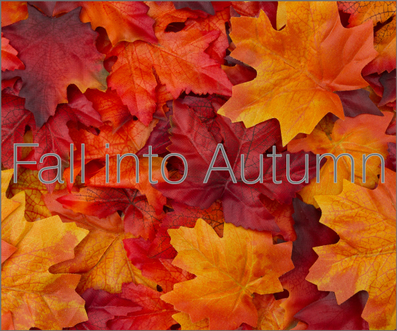 fall into autumn