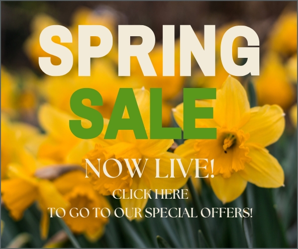 April 25 - Sale Spring